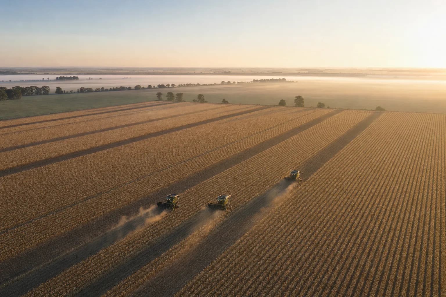 Agribusiness operation